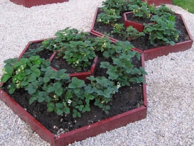 Грядки из оцинкованной стали