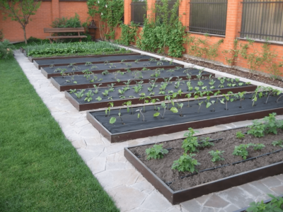 Грядки из оцинкованной стали
